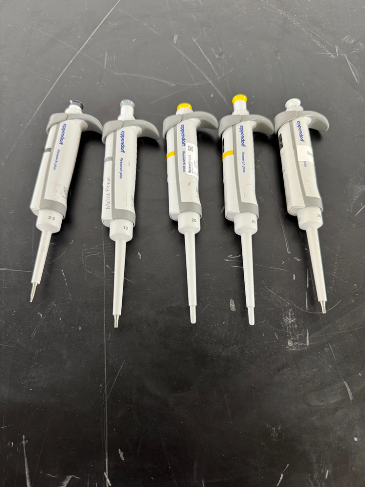 Image of Eppendorf Research Plus Single Channel Pipettes - Quantity 5